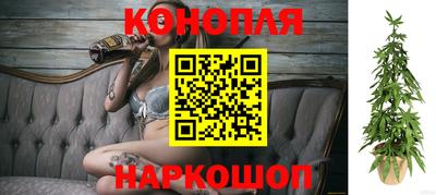 ешки Будённовск